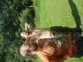 DSCN0748.JPG